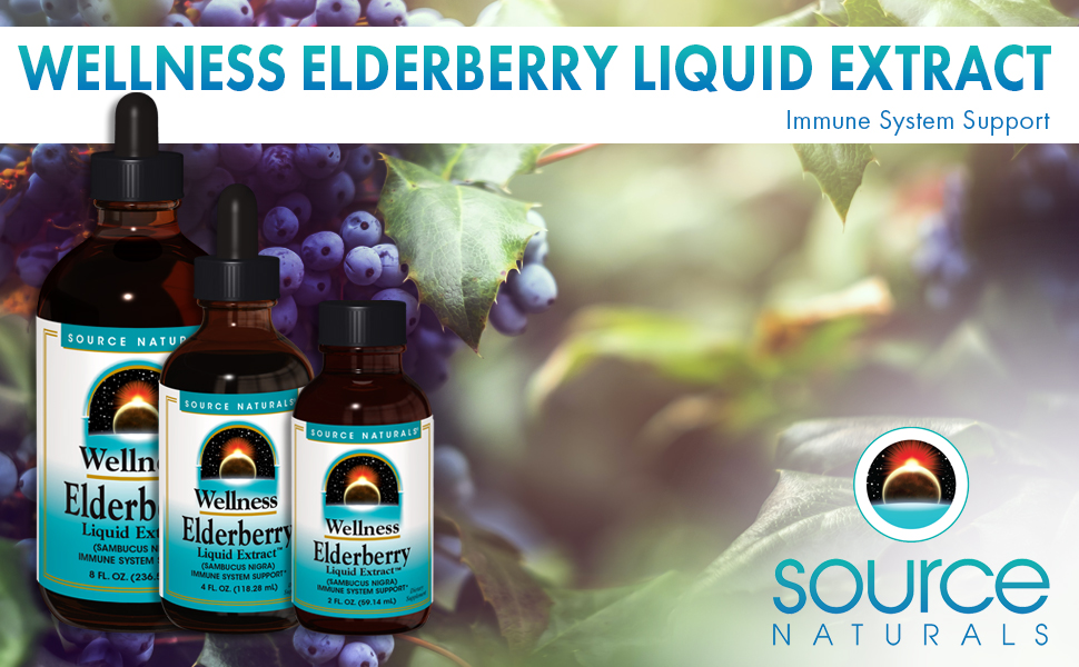 Source Naturals Wellness Elderberry Liquid Extract, 500 mg - 8 Fluid oz