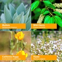 herb-pharm-kids-certified-organic-cough--4.jpg