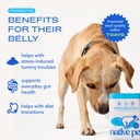 native-pet-wondergland-30-scoops-probiot-3.jpg