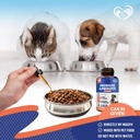 probiotics-prebiotics-with-enzymes-for-d-4.jpg