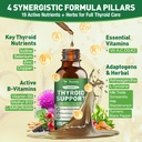 totaria-liposomal-thyroid-support-drops--3.jpg