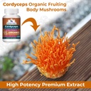 cordyceps-mushroom-supplement-capsules-1-5.jpg
