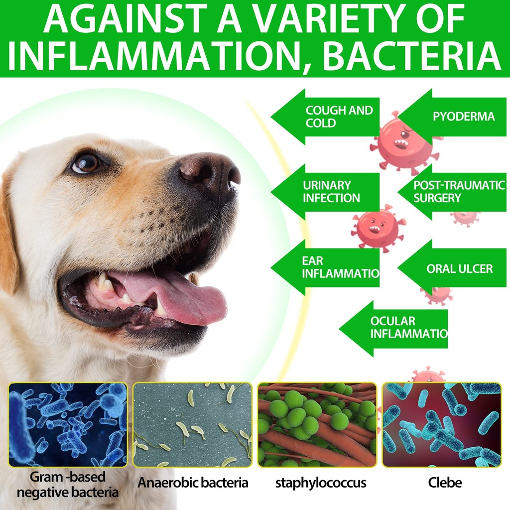 nenmaokenu-antibiotics-for-dogs-natural--4.jpg