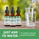 nutramedix-sealantro-body-detox-drops-an-6.jpg
