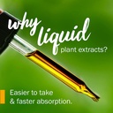 herb-pharm-pipsissewa-liquid-extract-for-3.jpg