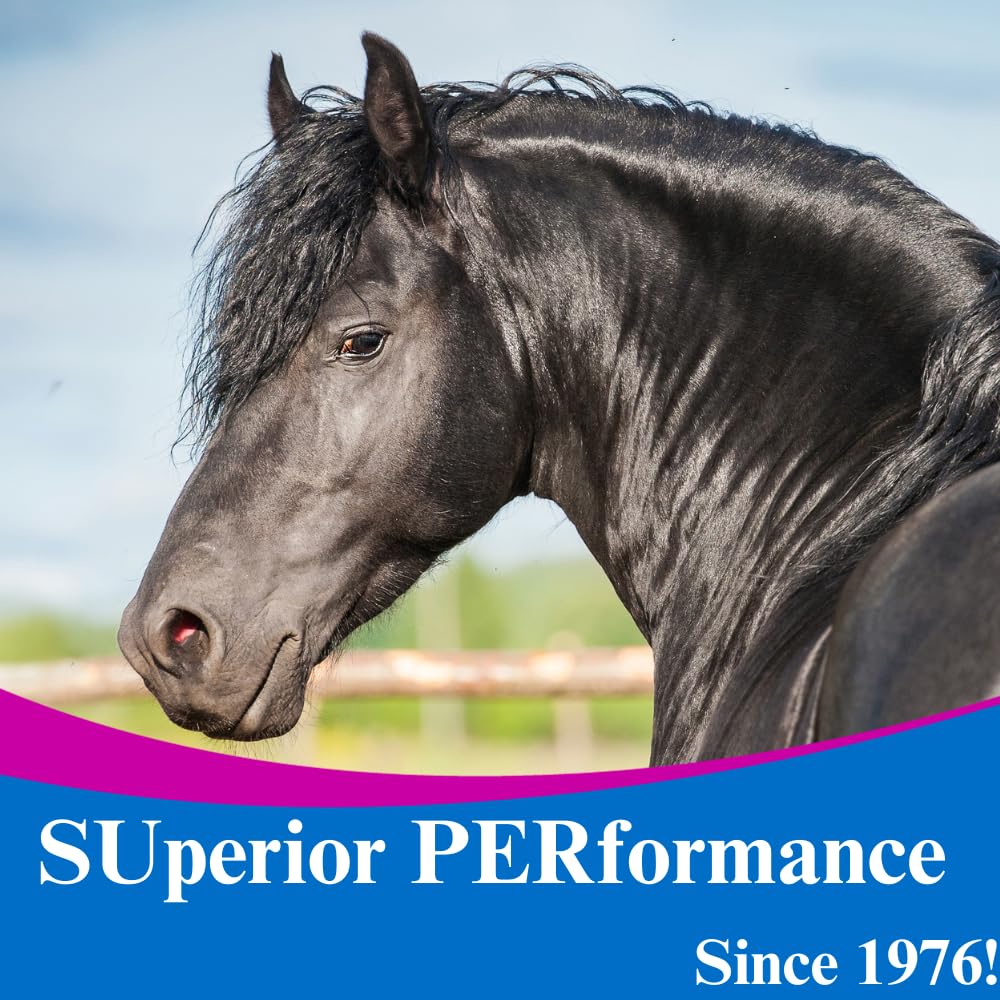 su-per-b12-for-horses-equine-vitamins-b--6.jpg