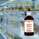 gotu-kola-centella-asiatica-dry-leaf-tin-4.jpg