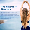 kala-health-msmpure-msm-powder-coarse-fl-6.jpg