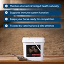 mad-barn-visceral-supplement-for-horse-g-61keyl1aT3L.jpg