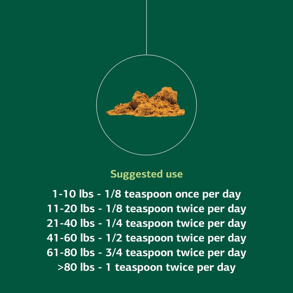 standard-process-canine-hepatic-support--61rQ+zWt8nL.jpg