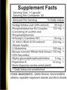 brain-memory-support---mental-focus-memo-2.jpg