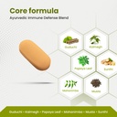green-milk-clevira-tablets-ayurvedic-imm-71740-Zy1XL.jpg