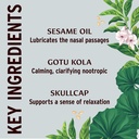 banyan-botanicals-nasya-oil-certified-or-81nXTY7S6zL.jpg