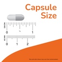 now-foods-melatonin-5mg-vcaps-180-capsul-61gvGWZ0t7L.jpg