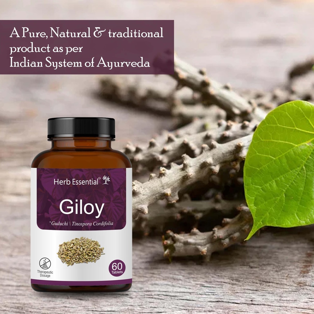 herb-essential-giloy-tablets-500mg-60-co-81e2jKz2ZBL.jpg