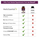 herb-essential-giloy-tablets-500mg-60-co-71IuBQ7y9mL.jpg