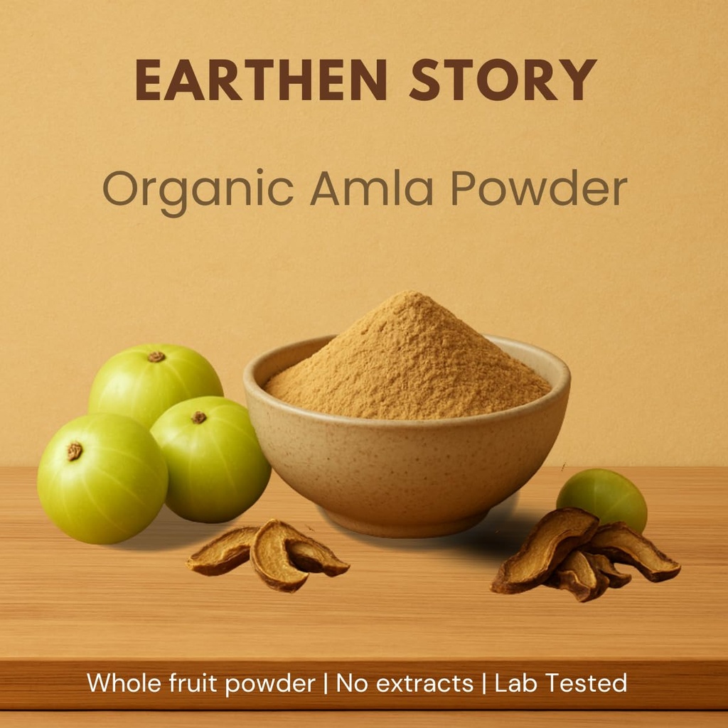 earthen-story-certified-organic-amla-pow-61tILsze4XL.jpg