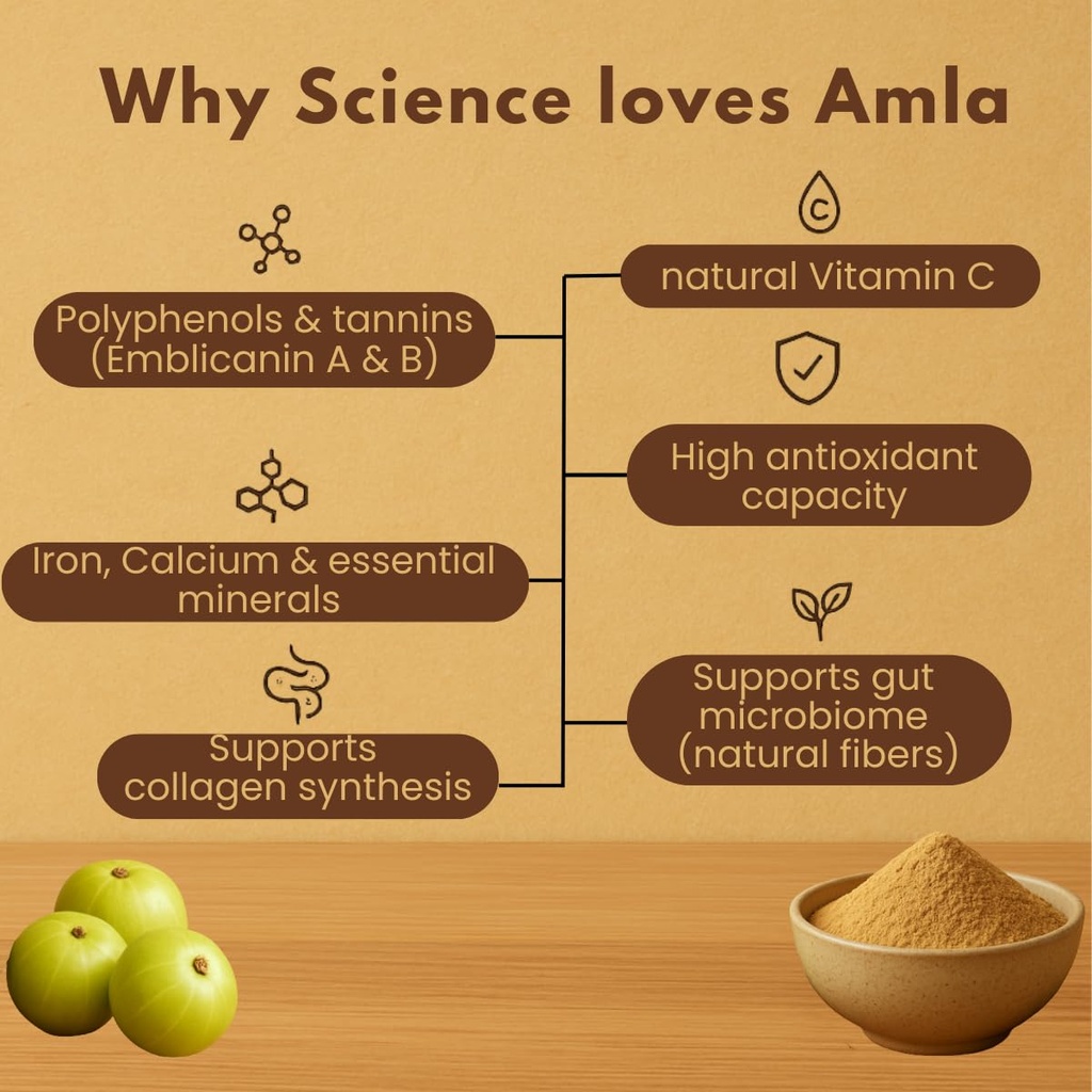 earthen-story-certified-organic-amla-pow-61AuwdpYr9L.jpg