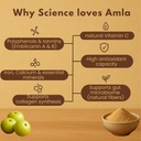 earthen-story-certified-organic-amla-pow-61AuwdpYr9L.jpg