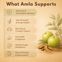 earthen-story-certified-organic-amla-pow-61-9VKW0sXL.jpg