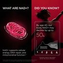 nad-supplement-for-women-nmn-alternative-71p+tc7hG3L.jpg