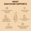 earthen-story-certified-organic-shatavar-615ok6iR+ZL.jpg