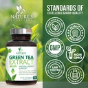 green-tea-extract-1000mg-premium-green-t-81dPAJ3WoKL.jpg