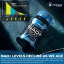 wellness-labsrx-liposomal-nad-supplement-81U0kV1S2RL.jpg