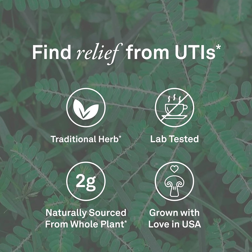 organika-chanca-piedra-500-mg--urinary-t-3.jpg
