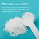 nutricology-msm-supplement---joint-suppo-3.jpg