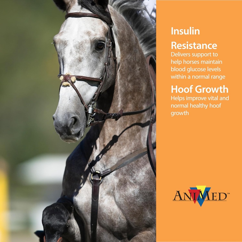 animed-remission-4-lb-2.jpg