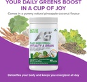 vitality-brain-powder-blend-of-synergist-2.jpg