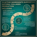 wild-fuel-vegan-collagen-builder-tablets-5.jpg