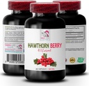 hawthorn-berry-antioxidant---hawthorn-be-2.jpg