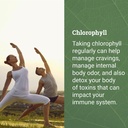 earth-harmony-lions-mane-chlorophyll---1-5.jpg