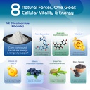 liposomal-nicotinamide-riboside-complex--4.jpg