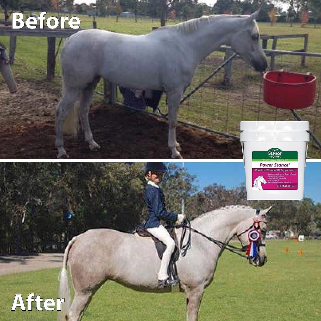 stance-power-powdered-coconut-oil-horse--6.jpg