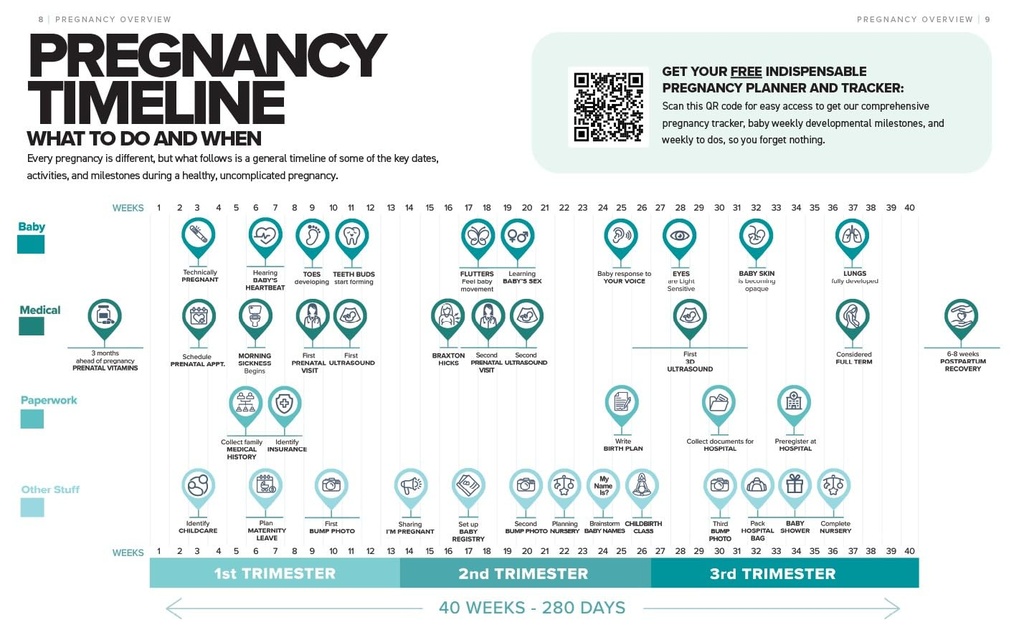 the-simplest-pregnancy-book-in-the-world-3.jpg