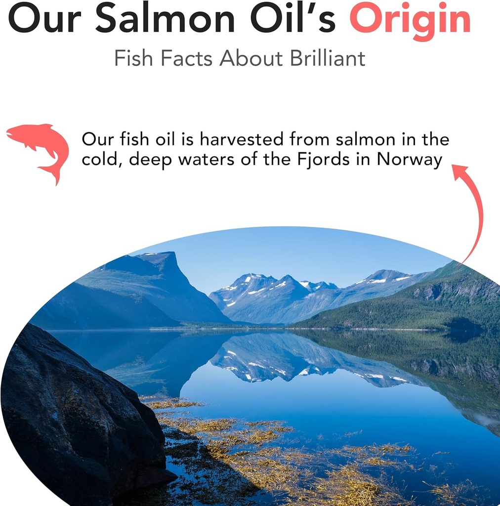 brilliant-salmon-oil-for-dogs-cats-puppi-5.jpg