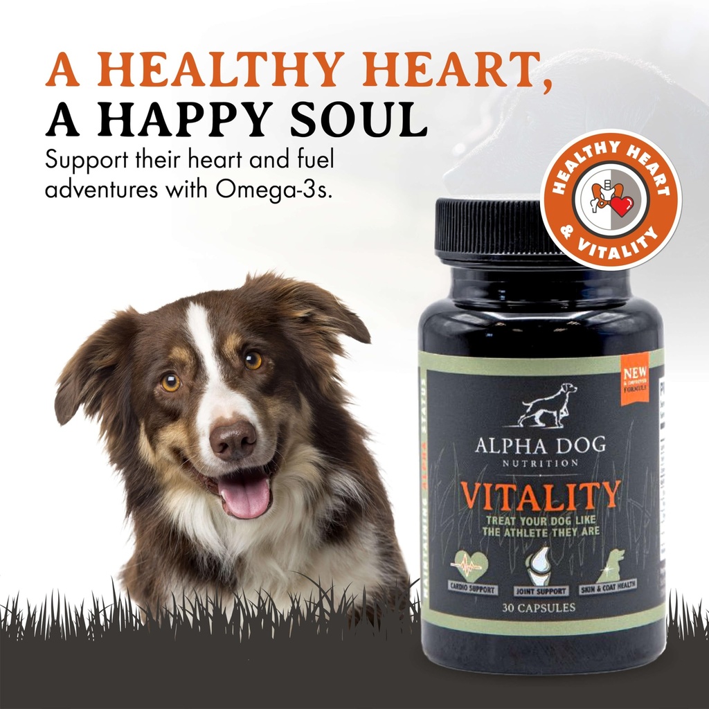 krill-oil-for-dogs-vitality-by-alpha-dog-2.jpg