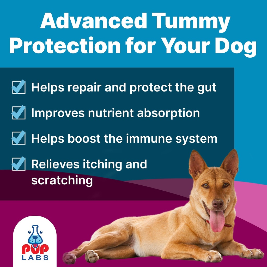 pup-labs-k9-belly-bliss-all-natural-gut--2.jpg