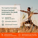 the-genius-brand-genius-lion-s-mane-plan-3.jpg