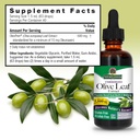 nature-s-answer-olive-leaf-extract-alcoh-3.jpg
