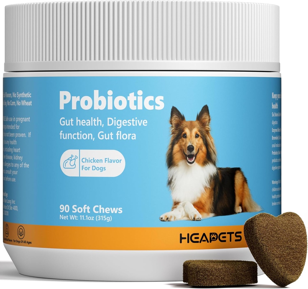 Probiotika for hunder med digestive enzymer, probiotika og prebiotika, støtte gut helse, digestive helse, gut Flora og diarrea, hundeprobiotiske Chews for immunsystem (Chicken Chews, 90ct)