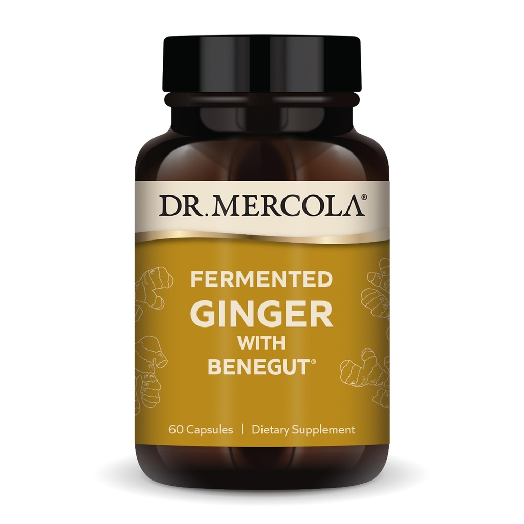 Dr. Mercola Fermented Ginger med benegut - Støtter Digestive & Gut Health - Bidrar Avslappende gass, Bleating & Discomfort - Ikke-GMO, Glutenfri og soya-fri - 60 Kapsler (60 Services)