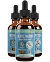 Rejuvica Health NerveFactor - Avansert Nerve Støtte Supplement - Flytende levering for bedre absorpsjon - Acetyl-L-Carnitine, Alpha Lipoic Acid, Vitamin B12, Folinsyre, Hvit Willow Bark & mer!