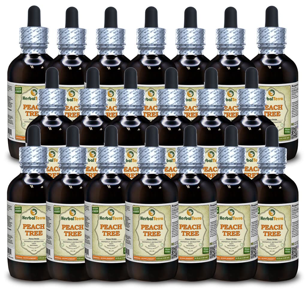 Peach Tree (Prunus Persica) Tinktur, tørket bark flytende ekstrakt (Brand navn: HerbalTerra, stolt laget i USA) 20x4 fl.oz (20x120 ml)