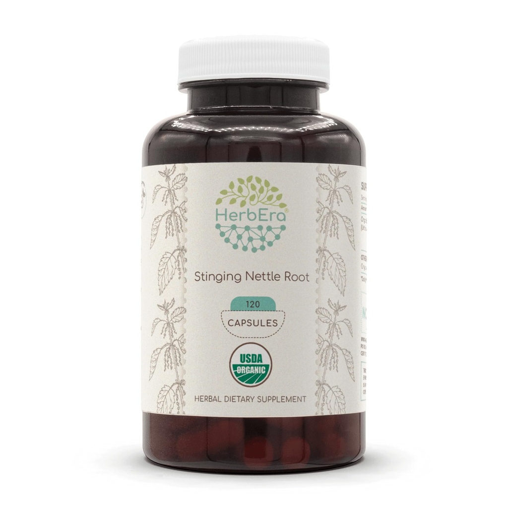 HerbEra Stinging Nettle Root USDA Organisk 120 Kapsler | Naturlig Herbal Supplement | Certified Organic Vegetarian Capsules and Organic Sting Nettle (Urtica Dioica) Tørket Root (120 Kapsler)