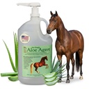 Doc Hoags Aloe Vera + Agave Premium Horse Supplement – laget i USA – Original Udder Balm – Naturlig astrisk støtte for hester og store dyr – Stress Relief & Ulcer Care, 128 Fl Oz.