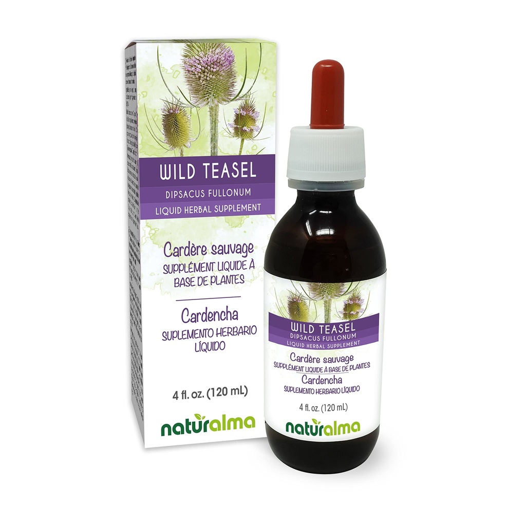 Naturalma Wild Teasel eller Fuller's Teasel (Dipsacus fullonum eller D. sylvestris) Root alkoholfri tinktur - 4 fl oz flytende ekstrakt i Drops - Herbal Supplement - Vegan